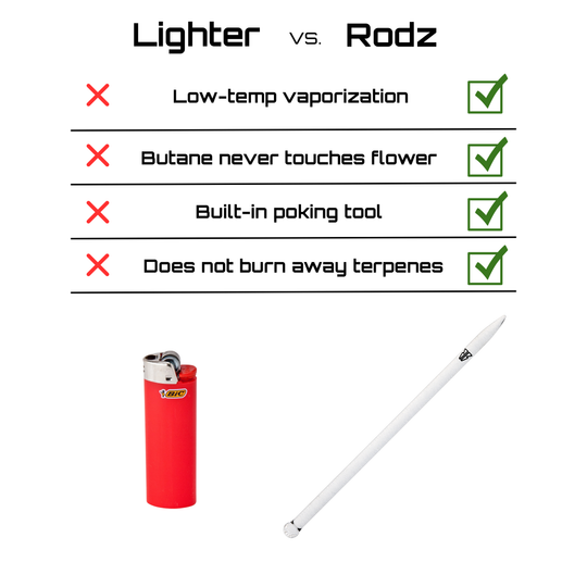 Rodz